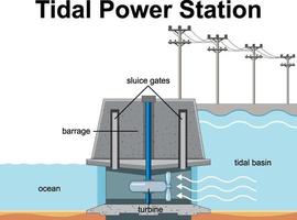 diagrama que muestra la estación de energía mareomotriz vector