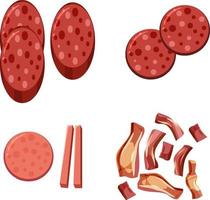 Set of different salami chopped isolated vector