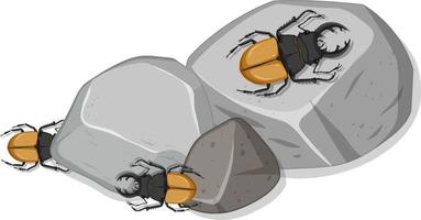 Top view of many stag beetle on stones vector