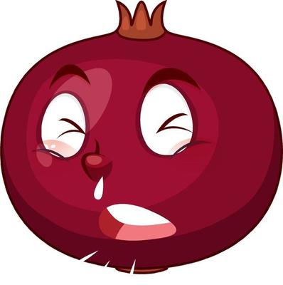 Pomegranate cartoon character with facial expression