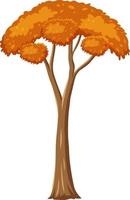 Árbol de otoño aislado sobre fondo blanco. vector