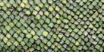 Banana leaf texture photo
