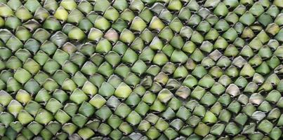 Banana leaf texture photo