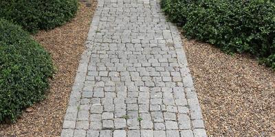 Brick pathway in garden photo