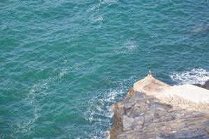 Rocks at the sea photo