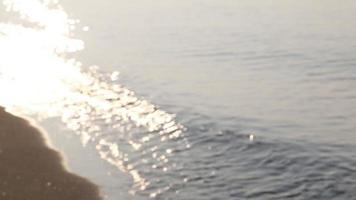 Blurred Sparkling Sea video