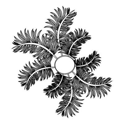 Leaves in round frame emblem isolated in black and white