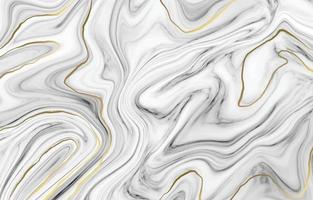 Silver and Gold Liquid Fine Art Gradation Background vector