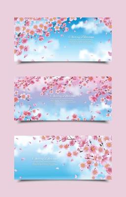 Cherry Blossom Banner Templates Collection