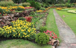 Side view of flowerbeds photo