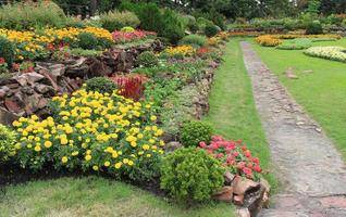 Side view of flowerbeds photo