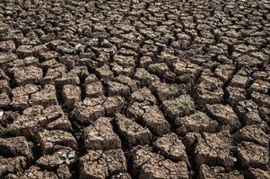 Arid land with dry and cracked ground