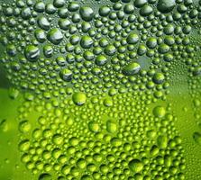 Water drops on green background photo
