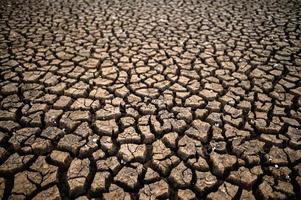 Arid land with dry and cracked ground photo