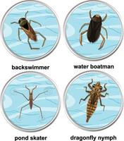 Set of different types of aquatic insects vector