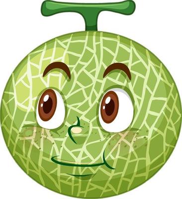 Cantaloupe melon cartoon character with facial expression