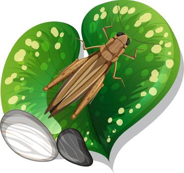 Top view of grasshopper on a leaf isolated vector