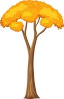 Isolated autumn tree on white background vector