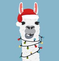 Alpaca lama portrait with light bulb vector