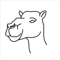 Animal camel icon design. Vector, clip art, illustration, line icon design style. vector