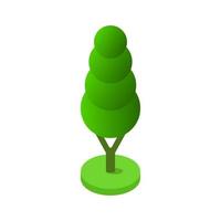 Isometric Tree On White Background vector