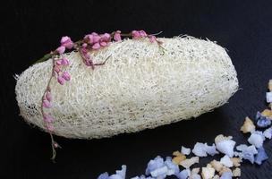 Natural luffa sponge photo