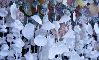 Seashells on a string photo