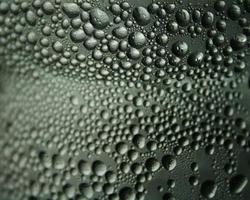 Close-up of rain drops photo