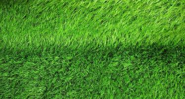 exuberante hierba verde foto