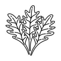 Arugula Icon. Doodle Hand Drawn or Outline Icon Style vector