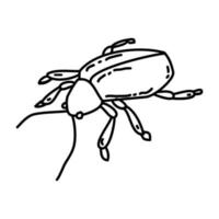 icono tropical de insectos. Doodle dibujado a mano o estilo de icono de contorno vector