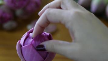 Girl Folding Purple Lotus Happily video