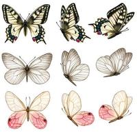 hermosa colección de mariposas de acuarela en diferentes posiciones vector