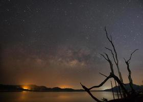 Silhouette of dead trees beside a reservoir with the Milky Way galaxy in the background photo