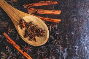 Anise and cinnamon with spoon