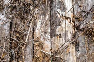 Old wooden background photo