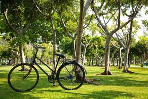 Bicycle in the park photo