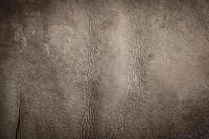 Skin of a rhinoceros photo