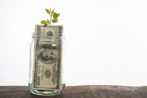 Money in a glass jar with sprout on top photo