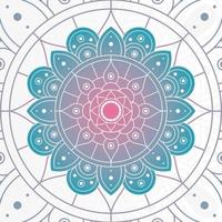 decorative floral mandala on white background vector