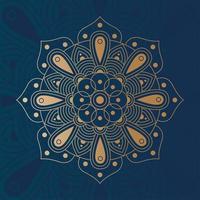 decorative floral mandala with blue background vector