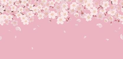 Seamless Floral Background With Cherry Blossoms In Full Bloom On A Pink Background. Horizontally Repeatable. vector