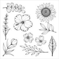 Hand drawn wild and herbs flowers and leaves illustration isolated on white background. vector