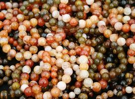 Multicolored bead pile photo