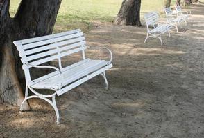 White benches outside photo