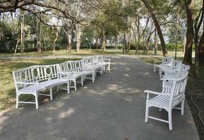 Rows of benches in a park photo