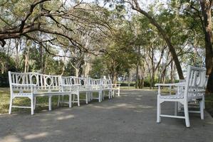 Benches on a pathway photo