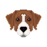 Portrait of a Australian pinscher in pixel art style. vector