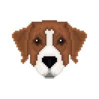 Portrait of a Australian pinscher in pixel art style. vector