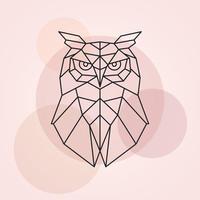 Geometric head of an owl. Abstract vector illustration of a wild bird.